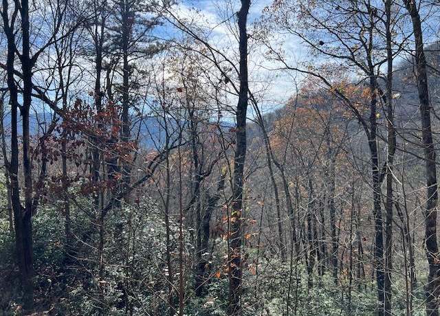 Property at Lot 19 The Highlands at Hightower Rdg #19, Hiawassee, GA 30546
