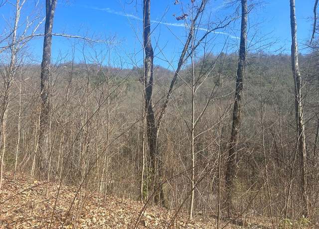 Property at Lot 94 Towalgia Dr #94, Bryson City, NC 28713