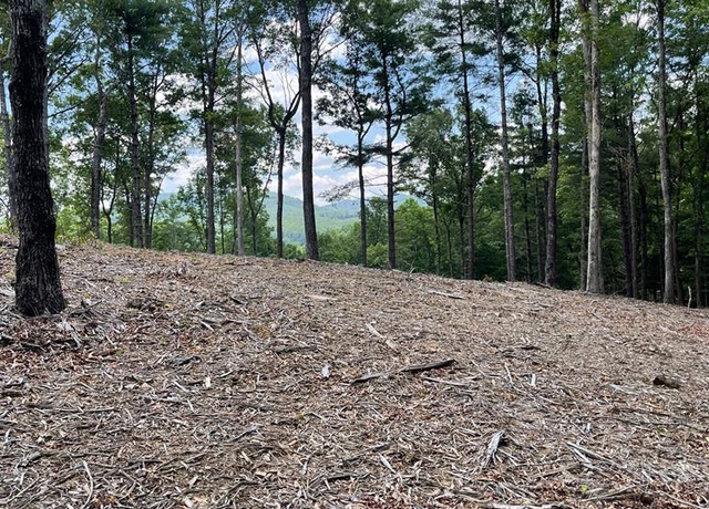 Property at Lot 95 The Rdgs #95, Morganton, GA 30560