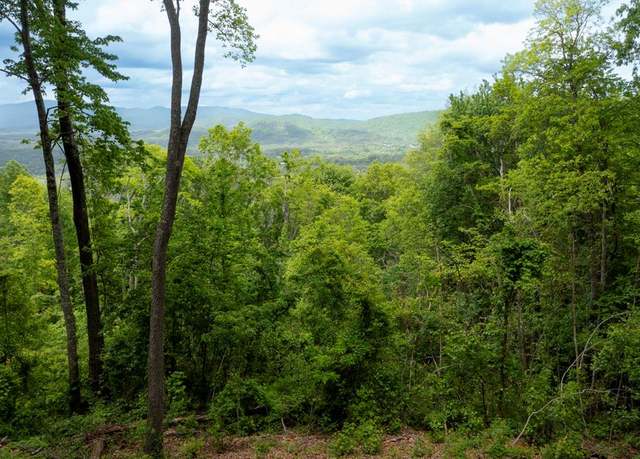 Property at Lt 61 Wilderness Creek Fls, Murphy, NC 28906