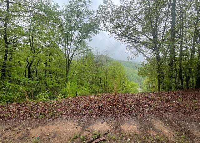 Property at 0 Ledford Rd, Bryson City, NC 28713