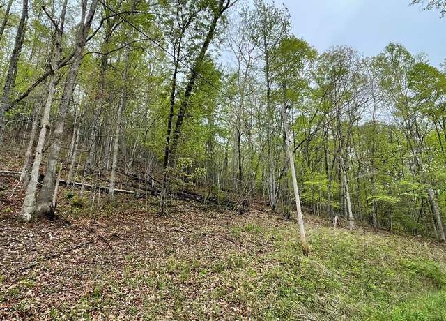 Property at Lot 31 Nelson Rdg #31, Hayesville, NC 28904