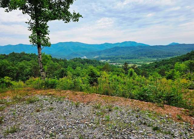 Property at 129 Emersyn Rose Ln Unit TR 6, Marble, NC 28905