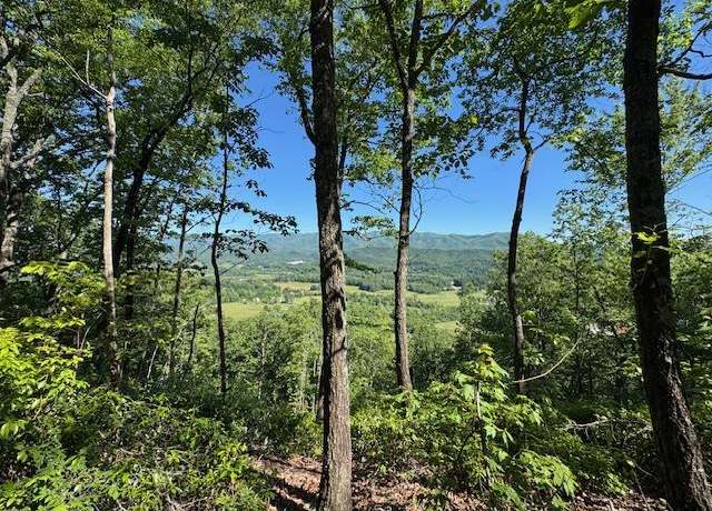 Property at 00 Coalville Rd, Marble, NC 28901