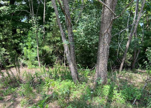 Property at Lot 59 Fires Creek Cv #59, Hayesville, NC 28904