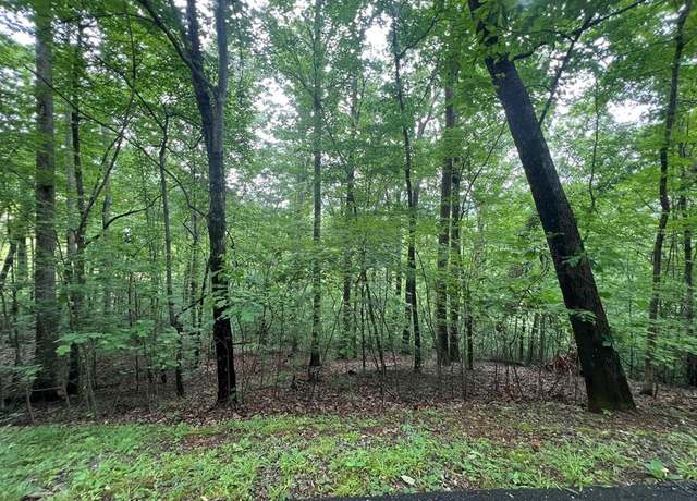 Property at 0 Ash Branch Cir Unit 13 C, Hayesville, NC 28904