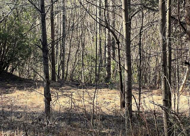 Property at Lot 59C Mountain Harbour Unit 59C, Hayesville, NC 28904