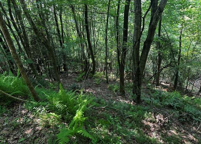 Property at Lot 16 Freedom Pass Dr #16, Murphy, NC 28906