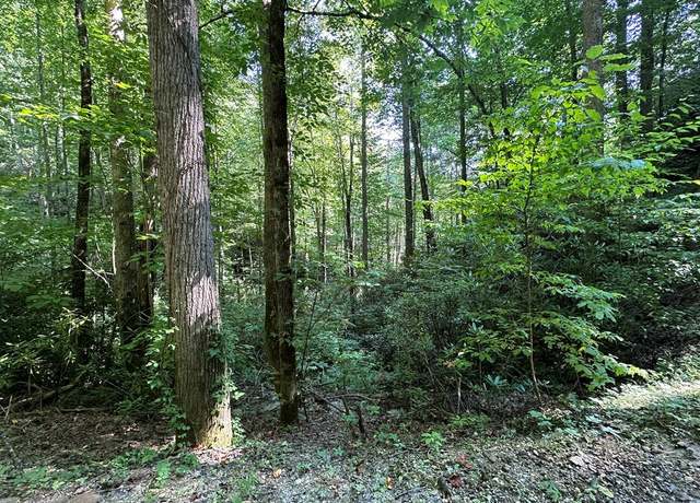 Property at TBD Briggs Cove Rd, Stecoah, NC 28771