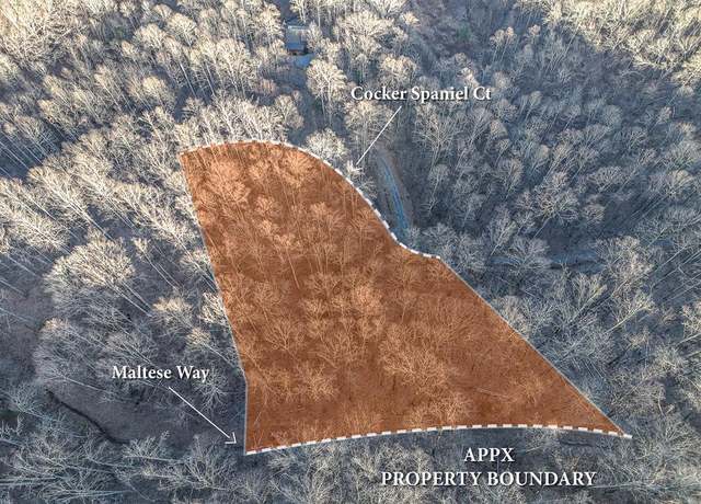 Property at LT 17 Cocker Spaniel Ct #17, Whittier, NC 28789
