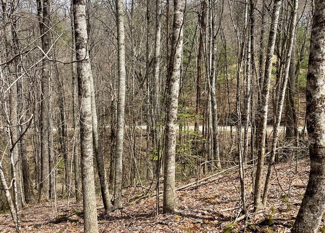 Property at 00 Hidden Lks Unit 11-A, Topton, NC 28781