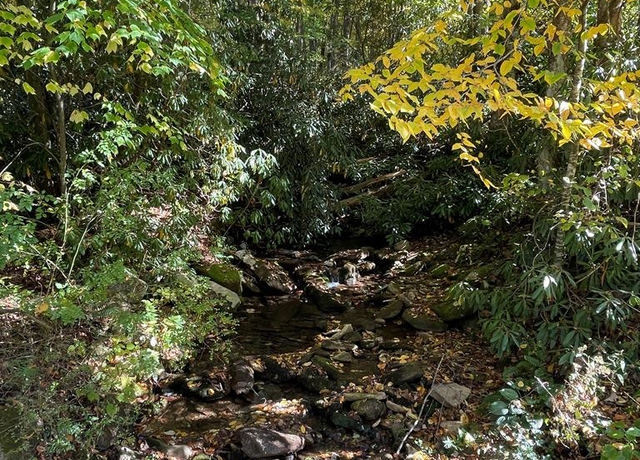 Property at 00 East Mill Crk, Robbinsville, NC 28771