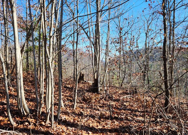 Property at 0 Burning Ember Trl Unit 7A, Murphy, NC 28906