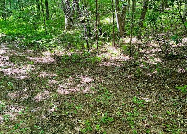 Property at 00 Deer Run - Lot 21 & 26 Unit 21,26, Robbinsville, NC 28771