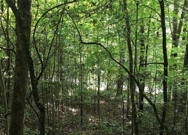 Property at Lot 1 Indian Lake Dr #1, Topton, NC 28781