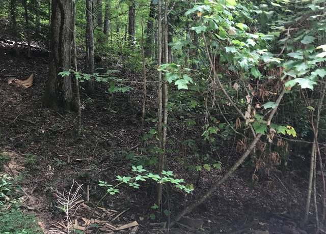 Property at Lot 7 Vista Loop Rd Lot 7, Topton, NC 28781