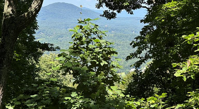 Photo of Lt 64/65 Rocky Knob Ests Unit 64,65, Young Harris, GA 30582
