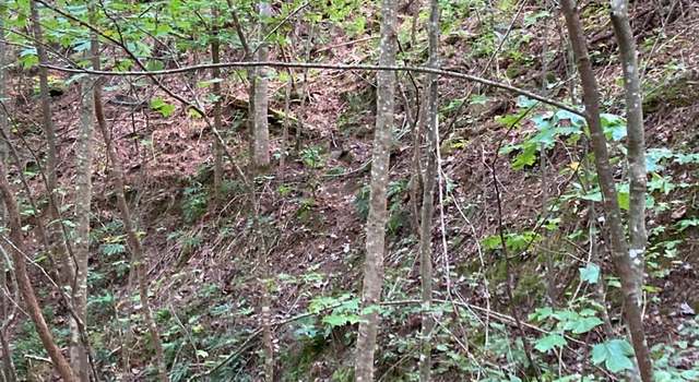 Photo of Lot 9 Aerie Vista Dr #9, Murphy, NC 28906