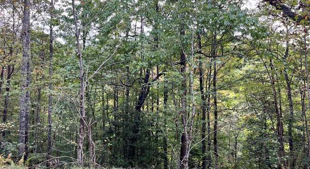 Photo of 00 Brasstown Creek Rdg #7, Brasstown, NC 28902