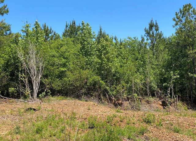 Property at 0 Ga Hwy 0026, Buena Vista, GA 31803