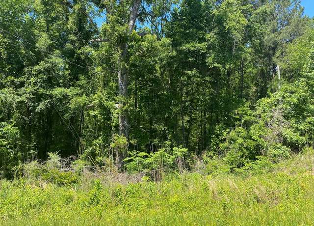 Property at 0 Street 0 St, Cusseta, GA 31805