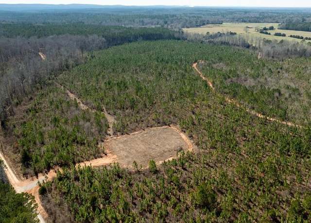 Property at 0 (Lot 3B) Highway 0018, Pine Mountain, GA 31822