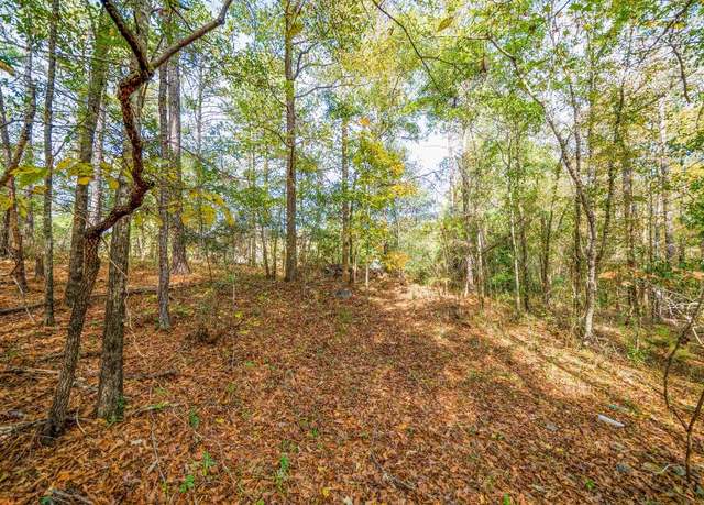 Property at 56 Scott Rd, Ellerslie, GA 31807