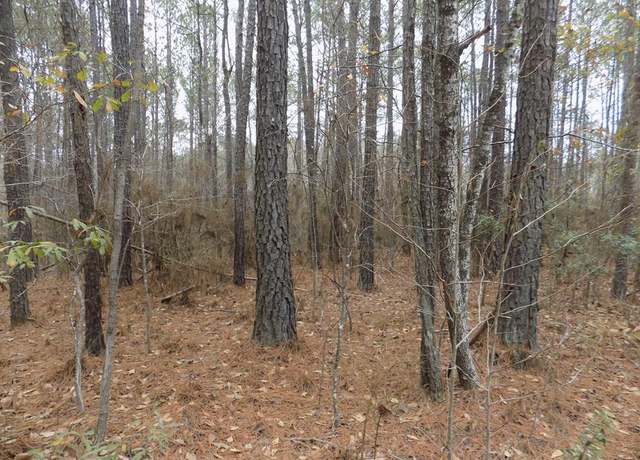 Property at 0 Mullins Rd, Hamilton, GA 31811