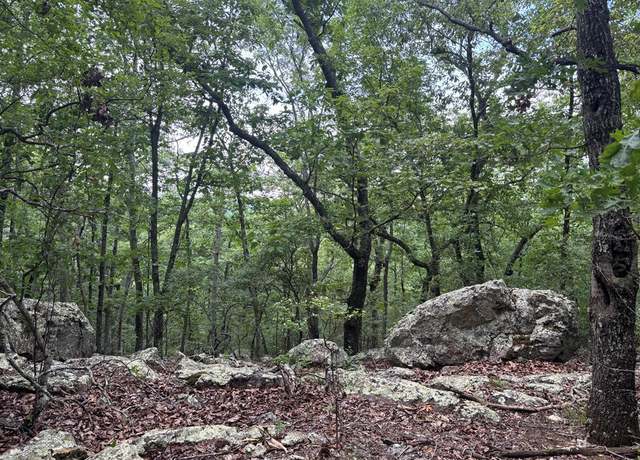 Property at 27.2 ac Barnes Mill Rd, Hamilton, GA 31811