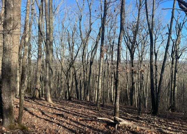 Property at 00Lot3 & Lot 4 Mountain Ridge Dr, Talbotton, GA 31831