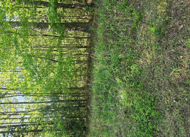 Property at 0 Hickory Cir, Waverly Hall, GA 31831