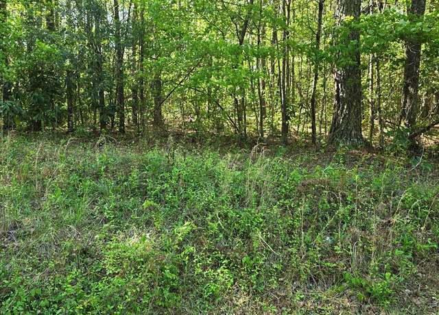 Property at 0 Hickory Cir, Waverly Hall, GA 31831