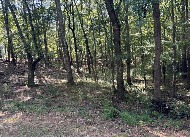 Property at Lot 15 Oversee Ct, Midland, GA 31820