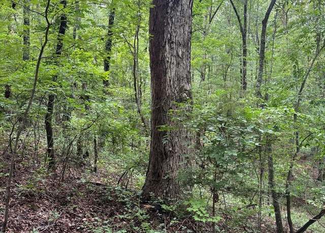 Property at 101 Indian Mountain Trl, Hamilton, GA 31811