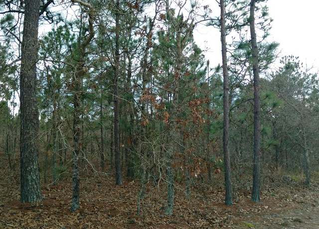 Property at 0 Highway 137 West, Buena Vista, GA 31803