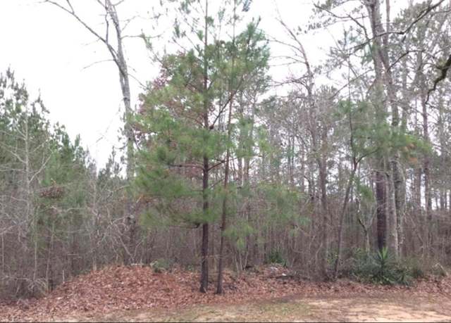 Property at 0 St. Paul Loop, Shiloh, GA 31826