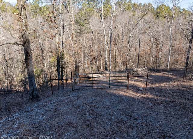 Property at TBD Highway 217, Booneville, AR 72927