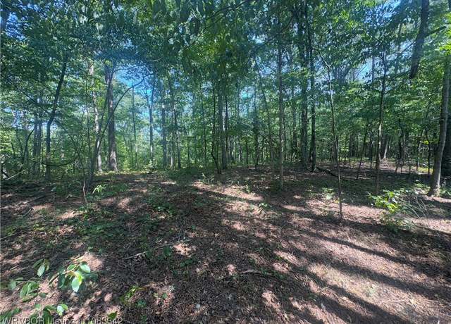 Property at TBD CR 3891, Lamar, AR 72846