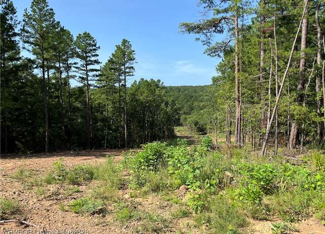 Property at 0089 Tract 8 & 9 Goats Blf, Wister, OK 74966