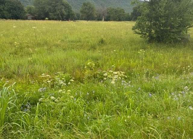 Property at TBD W State Hwy 22, Paris, AR 72855