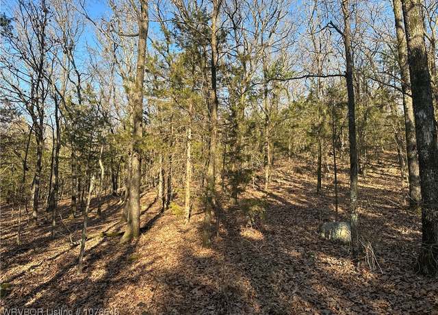 Property at 28734 Skyridge Ln, Heavener, OK 74937