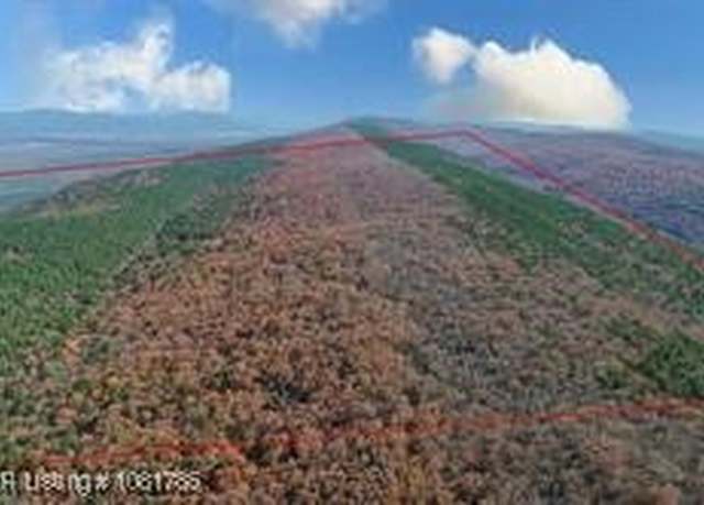 Property at TBD Kiamichi Mtn, Whitesboro, OK 74577