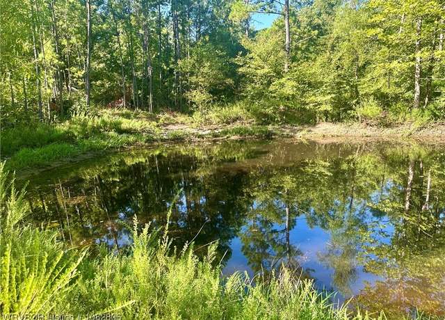 Property at TBD Earls Flat Rd, Wister, OK 74966