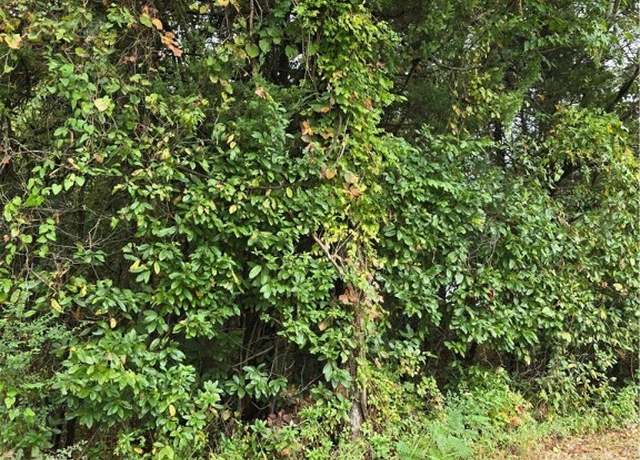 Property at TBD Wichita, Mcalester, OK 74501