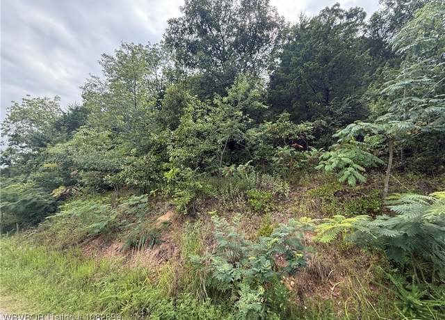 Property at 515 Bear Fry Loop, Mansfield, AR 72944