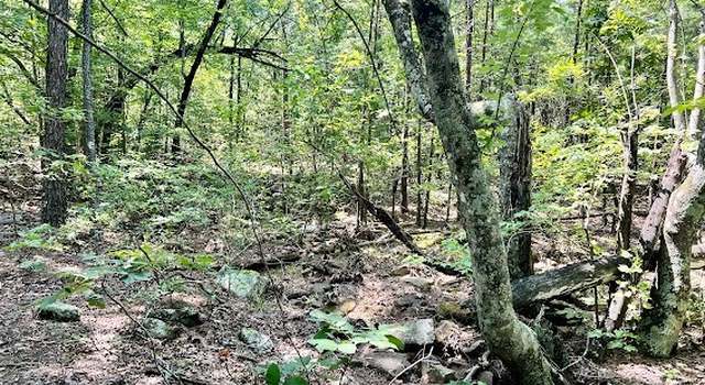 Photo of TBD Pine Mountain Rnch, Panola, OK 74559