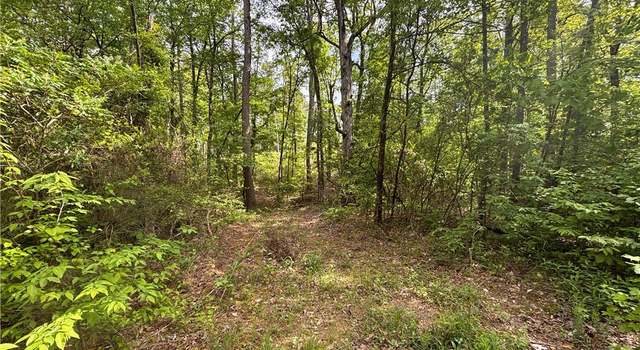 Photo of TBD South of Daily Creek Daily Creek Rd, Parks, AR 72950