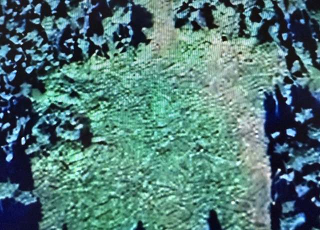 Property at C-3 Balta St, Delta Junction, AK 99737