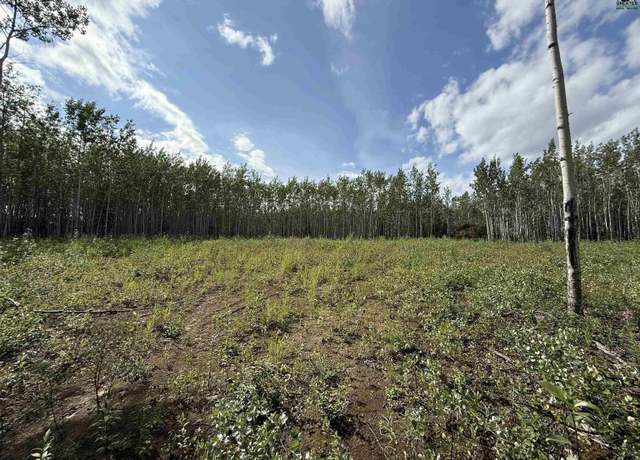 Property at L6 Strawberry Rd, Delta Junction, AK 99737