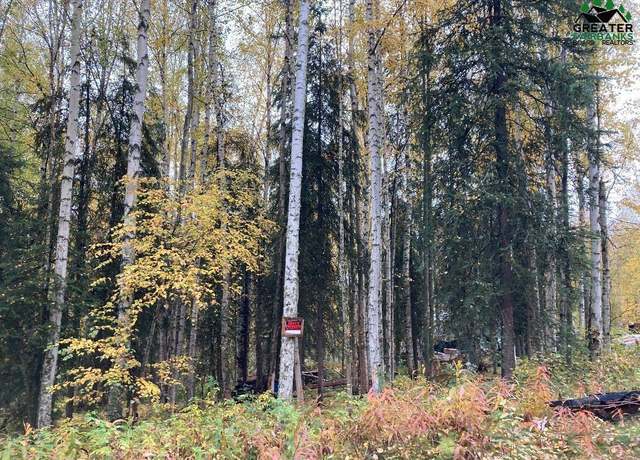 Property at NHN Constance Ct, Fairbanks, AK 99701
